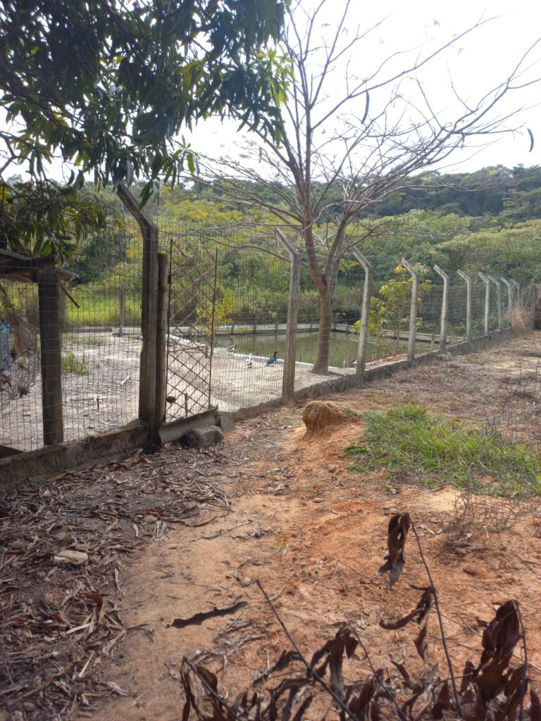 8bff279d-fb9a-4795-8dc9-99691d8a4192