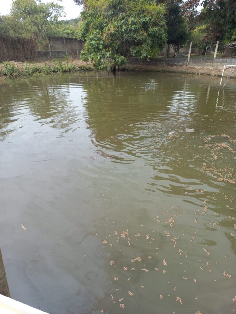 983a9ac9-f4a0-463a-b4b1-8e412e356924