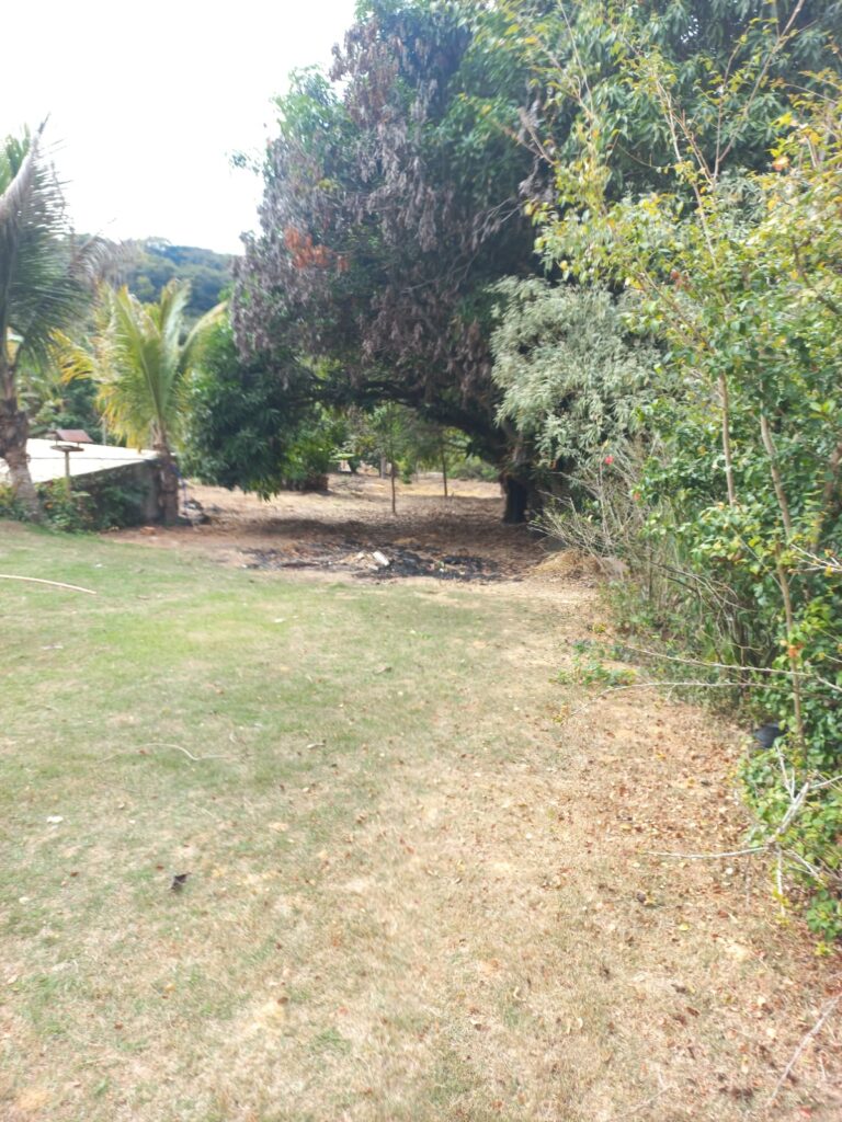 a025ffb0-494b-4a5c-a1f6-e7257ac92639