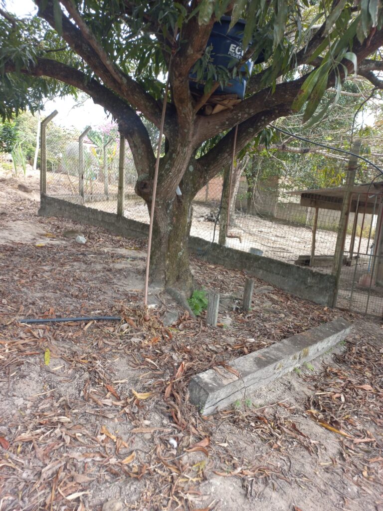 ed410e81-7aa0-4d1d-bfbe-dc96d5197d27