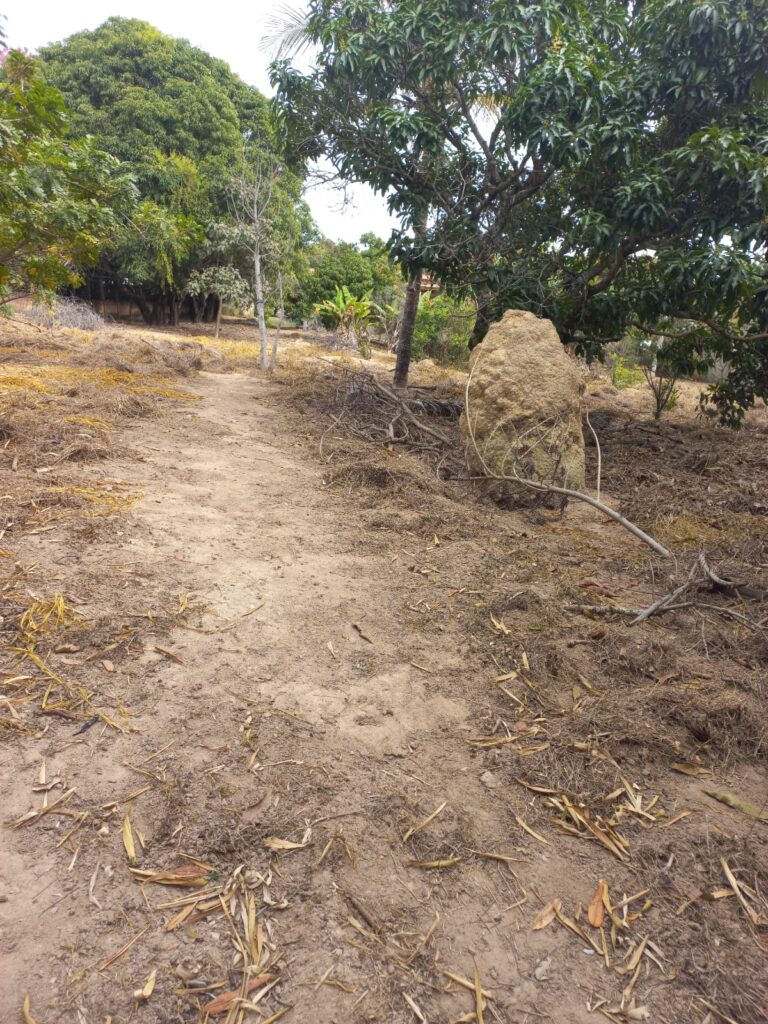 f1cc30a9-7541-43a7-b82d-ff945ecbb78d