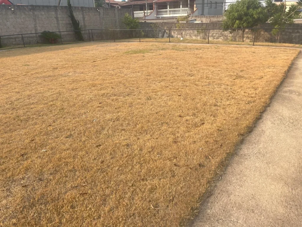 Apartamento de 02 quartos com uma vaga demarcada(3)