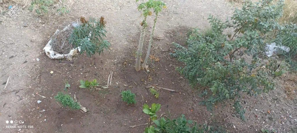 Casa duplex de 02 quartos, 01 vaga, bairro Capelinha Betim(2)