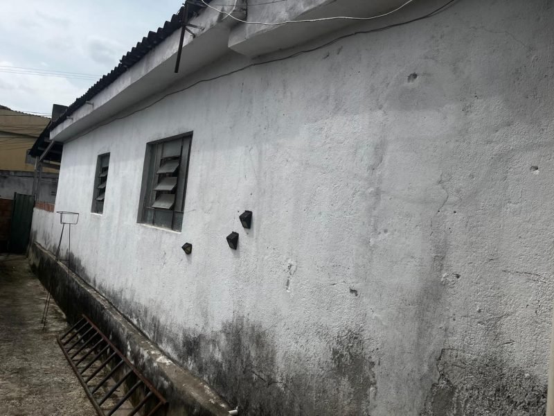 74a65272-e321-4809-8f56-169160213b73