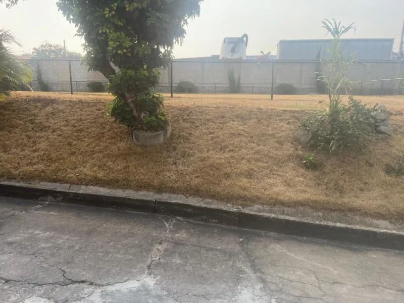 Apartamento de 02 quartos com uma vaga demarcada(1)