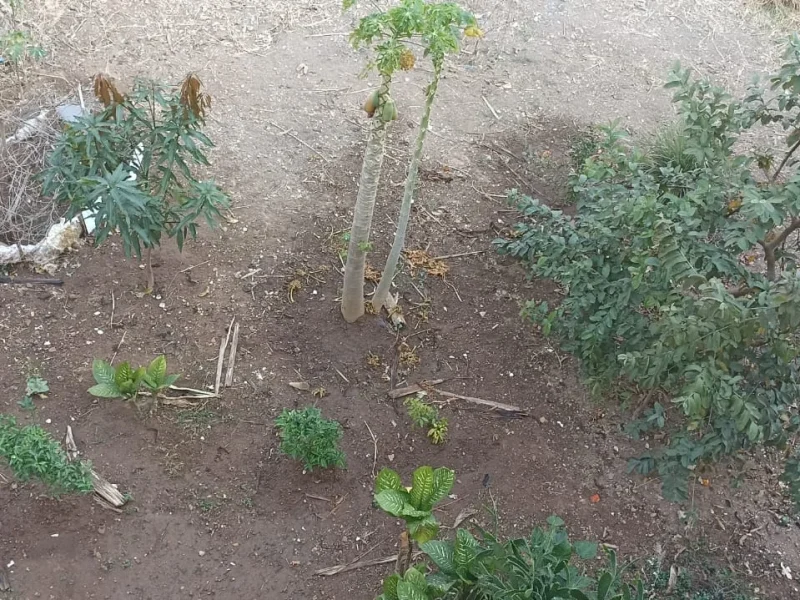 Casa duplex de 02 quartos, 01 vaga, bairro Capelinha Betim(2)