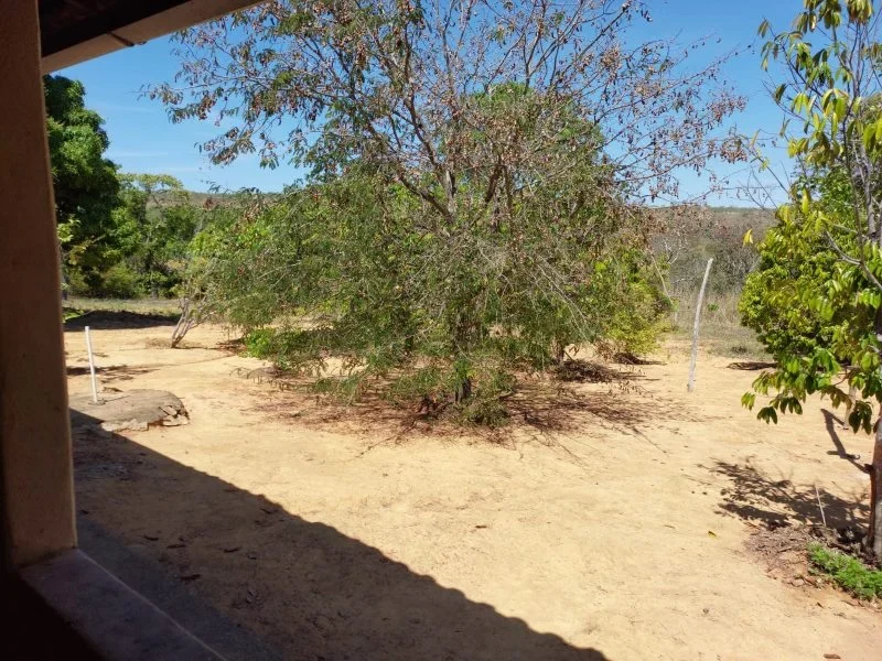 Fazenda de 50.000 m² perto da cidade de Três Marias MG(8)