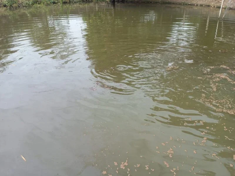 Sitio Condominio recanto da Serra, Esmeraldas(14)