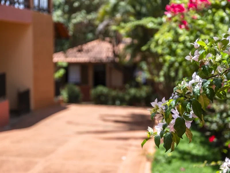 Sitio na Cidade de Martinho Campos(18)